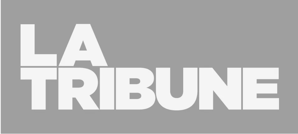 Logo newspaper grey