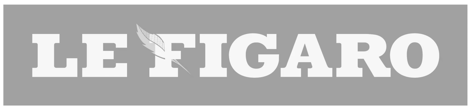Logo newspaper grey
